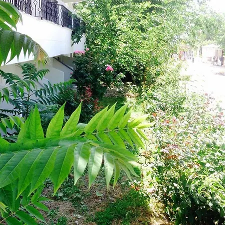 Otel Kocak Denizli (Denizli)